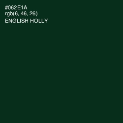 #062E1A - English Holly Color Image
